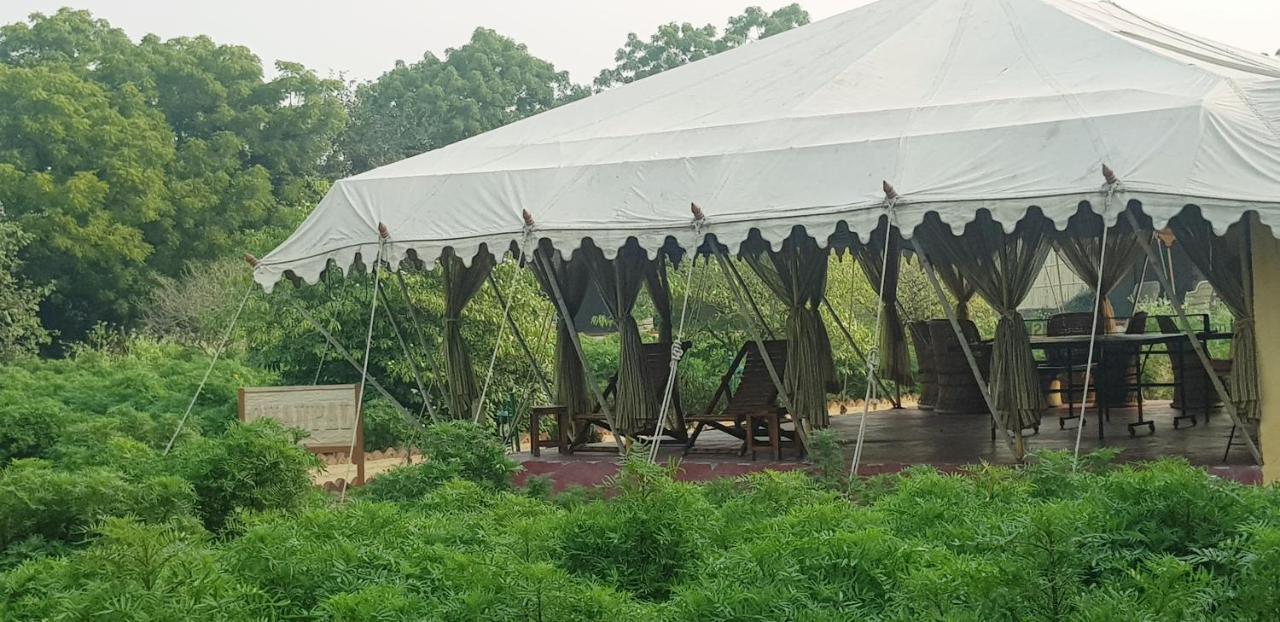 Orchard Tents & Tranquility Pushkar Buitenkant foto